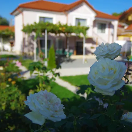 етерна - Eterna