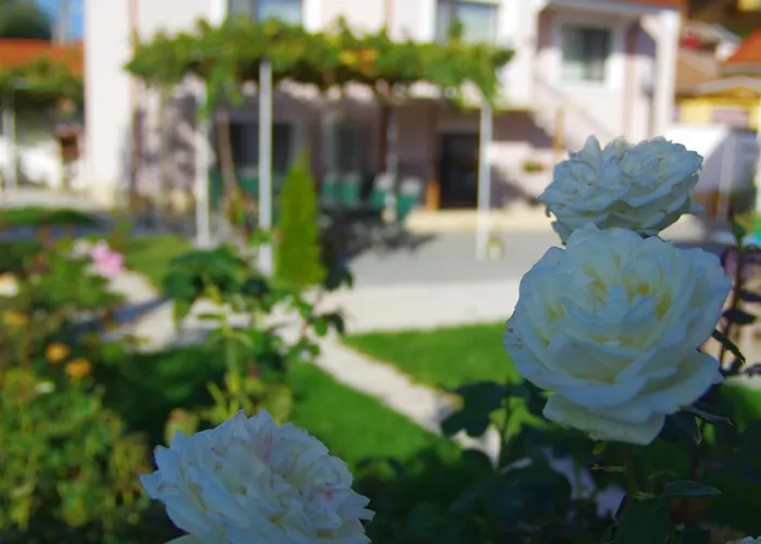 етерна - Eterna